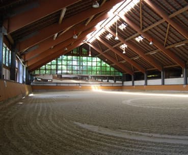 Reitsport Reitsport
