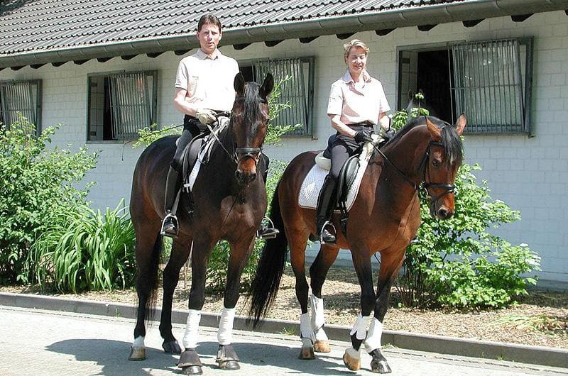 Riding school Gut Moschenhof Riding school Gut Moschenhof