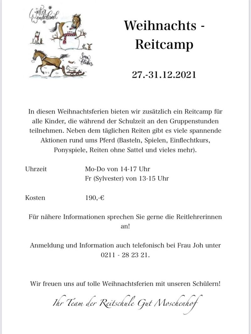 Weihnachts-Camp