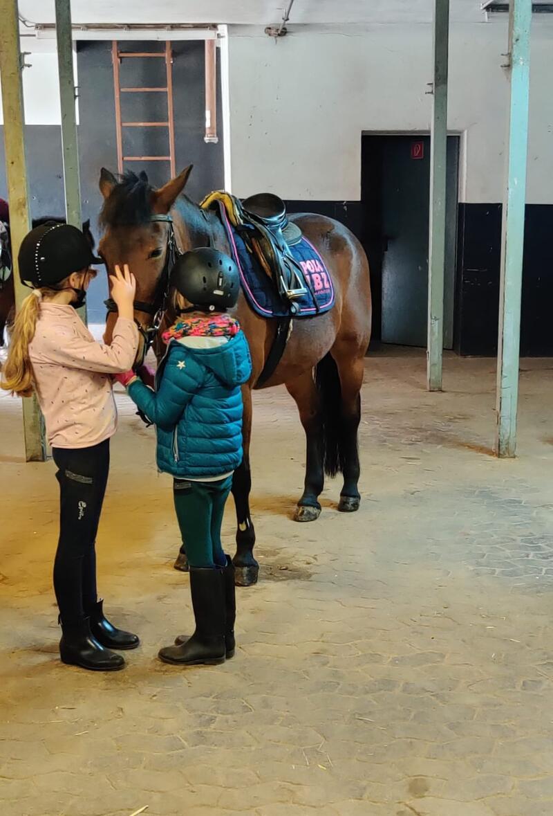 Ponycamp Gut Moschenhof