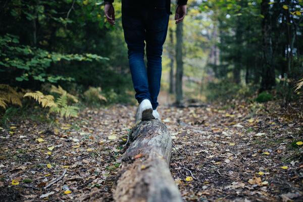 Spaziergang im Wald