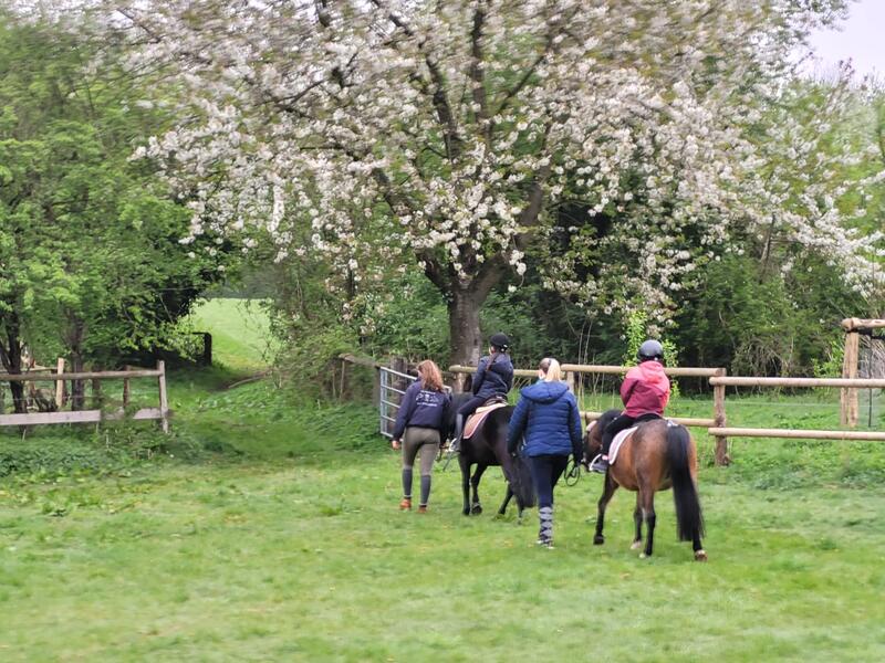 Ponycamp Herbstferien