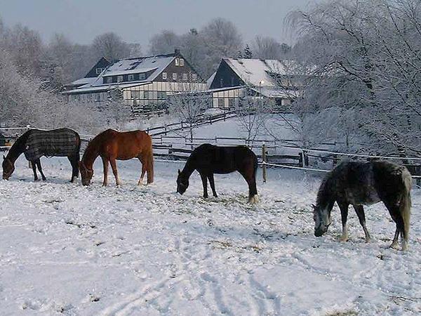 Riding school