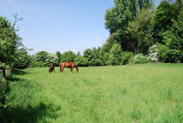 Riding school