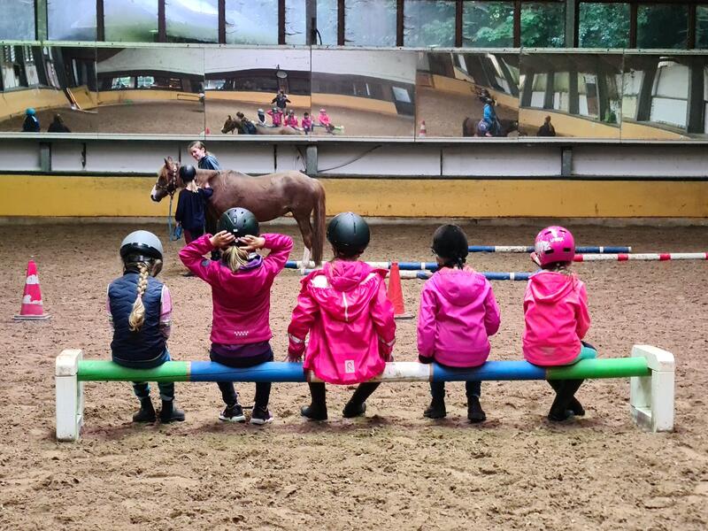 Weihnachten Ponycamp